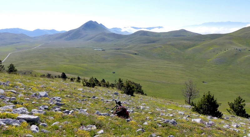 Orchidee a Campo Imperatore tra Medioevo e wilderness  primavera 2023